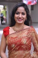 Madhavi Latha spotted in transparent saree at National Silk Expo launch 