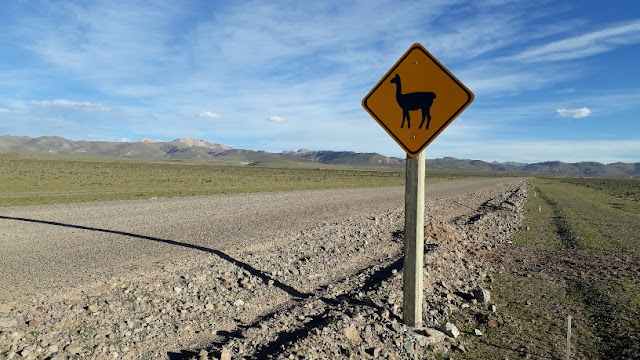 Auch Lamas und Nandus können in den Anden die Straße überqueren. Die Straßenschilder weisen darauf hin.