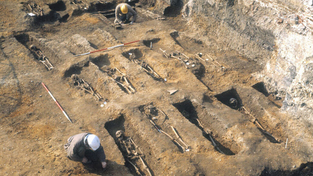 Researchers looked for evidence of how the Black Death pushed the immune system to evolve by using DNA from the excavated remains of plague victims, including those buried in a London cemetery from 1348-1349, as well as people who died earlier and later.  MUSEUM OF LONDON ARCHAEOLOGY COURTESY