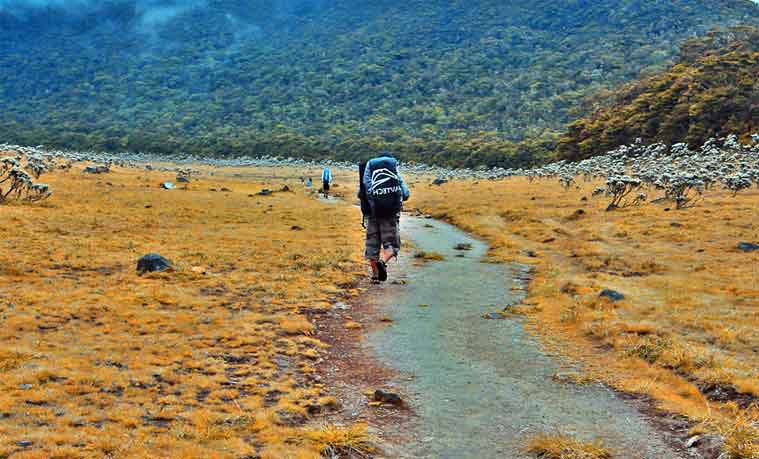 surya kencana