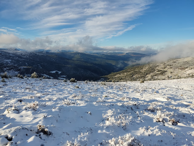 Circular al Pico Tres Provincias o Cebollera Vieja (2.142 m), Peña de Santosenarrio (2.054 m) y Pico Telégrafo (2.081 m)