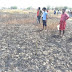 Ghazipur: विभिन्न अगलगी की घटना में 23 बीघा गेहूं की फसल जलकर राख
