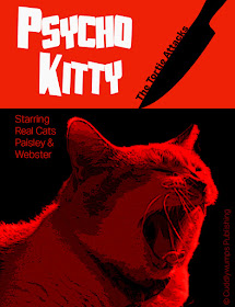 Psycho Kitty poster