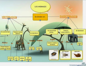 http://skat.ihmc.us/rid=1HFDYXJ3L-6621QJ-15PK/MAPA%20CONCEPTUALANIMALES%20VERTEBRADOS%20E%20INVERTEBRADOS.cmap?rid=1HFDYXJ3L-6621QJ-15PK&partName=htmljpeg