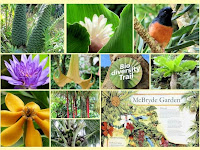 Botanical Gardens Kauai South Shore