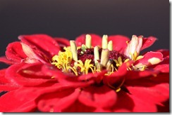 bilder 011