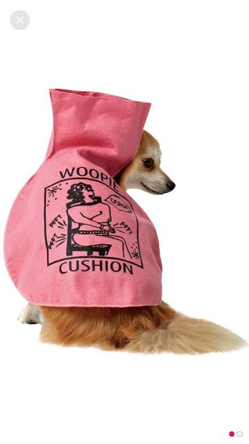 You need to see this WOOPIE CUSHION Dog Costume