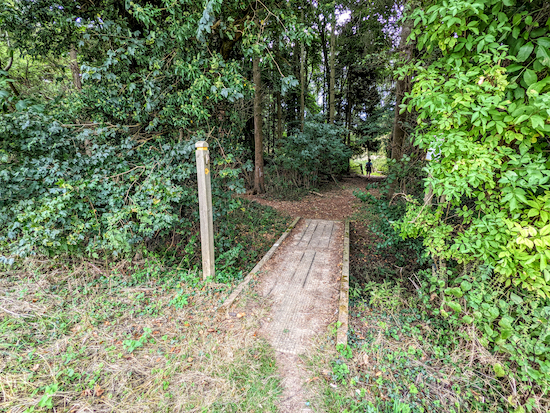 Braughing footpath 11 crosses a footbridge then enters Hill Wood