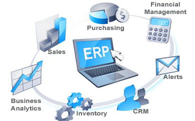 ERP Software Development in Delhi