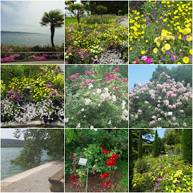 Conhecendo Mainau, a ilha das flores no Lago de Constança (Alemanha)