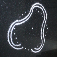 snake-kolam-with-dots-pic-1308ab.png