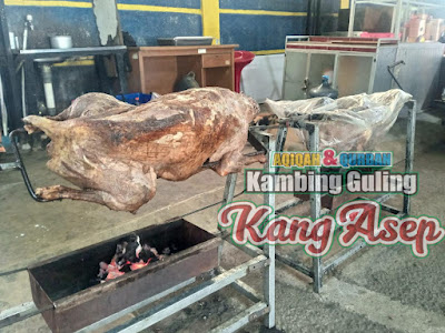 kambing guling di sindanglaya, kambing guling sindanglaya, kambing guling,