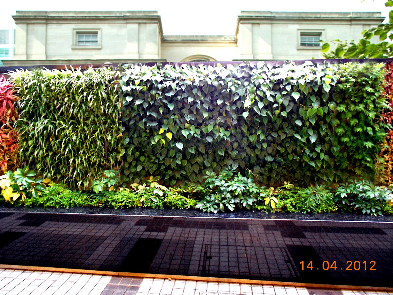 Vertical Garden Concept for Buildings: Greenwall Vertical Garden System
