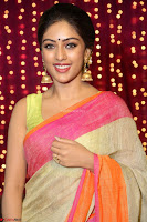 Anu Emanuel Looks Super Cute in Saree ~  Exclusive Pics 055.JPG