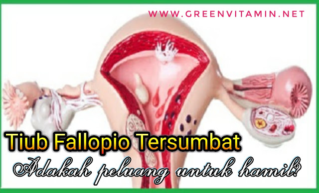 Panduan dan Tips Kesihatan Vitamin Semulajadi