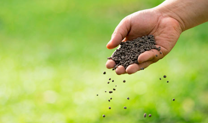 qual a diferença de adubos e fertilizantes