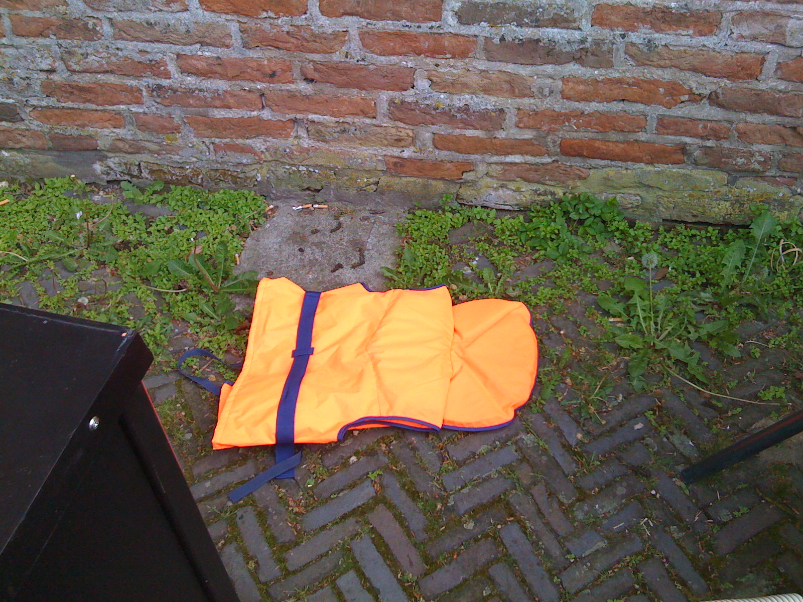 IMG_0349.JPG