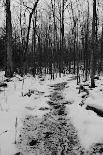 Bruce Trail Dufferin Gap.