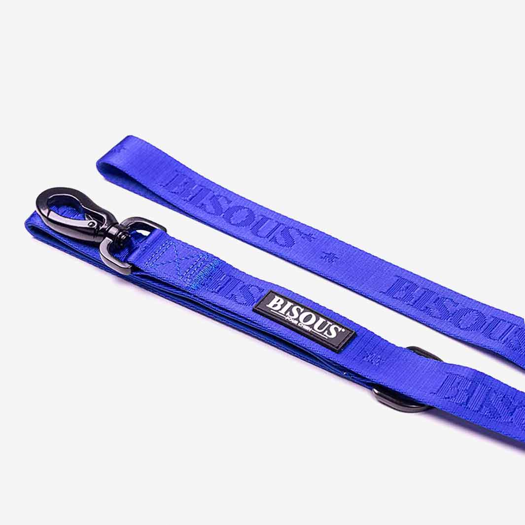 dog leash for dog walks