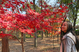 Nishinomaru Garden