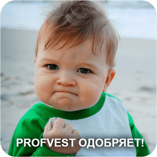 PROFVEST одобряет