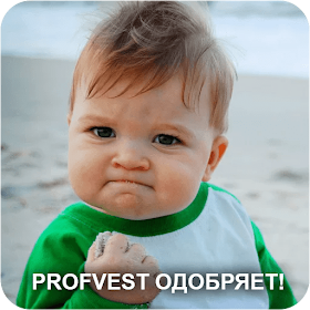 PROFVEST одобряет