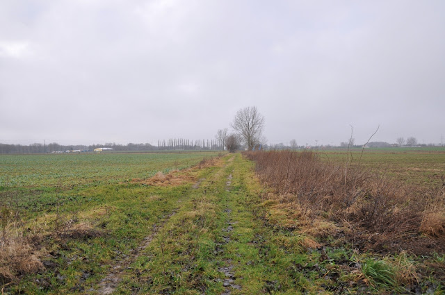 Nastarszy trakt Pomorza - droga używana we wczesnym średniowieczu i w czasach prehistorycznych