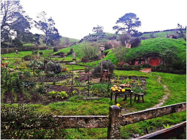 Hobbiton tour