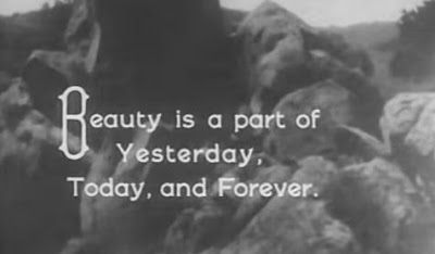 intertitle beauty