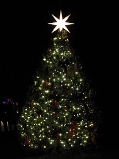 Bowie,Maryland,Christmas Tree Lighting,Belair Mansion,Christmas Tree