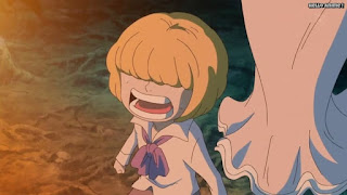 ワンピースアニメ ドレスローザ編 702話 コラソン ロシナンテ 幼少期 Rosinante Corazon | ONE PIECE Episode 702