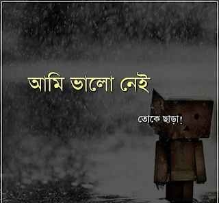 Bangla Koster Picture | Koster Pic Bangla