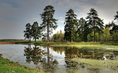 12 fotografías panorámicas de paisajes naturales (escenarios del campo)