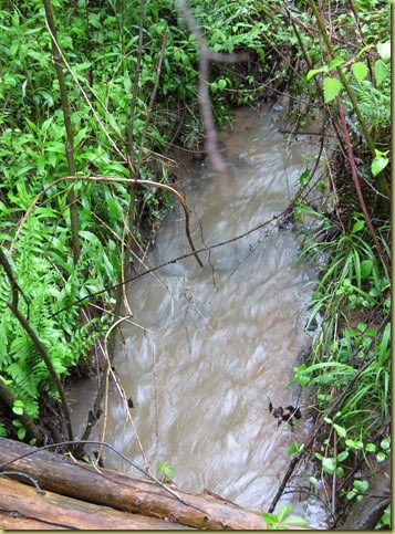 Flood (6) Flood (6)