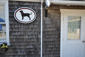 The Famous Black Dog on Martha's Vineyard (Vineyard Haven)