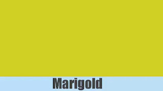 Marigold colour