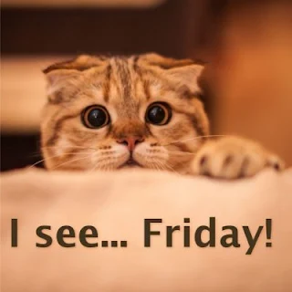 Cute cat: I see... Friday!