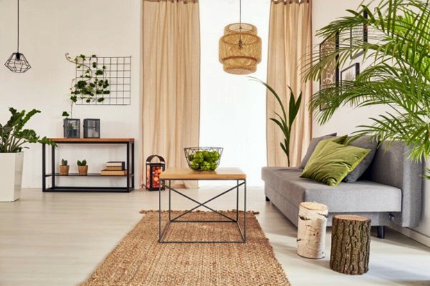 living room decorating with plants