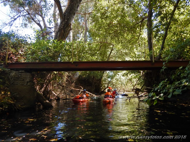 Kayak río Palmones