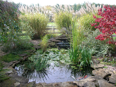 Garden Thyme with the Creative Gardener: Ideas for Garden Ponds