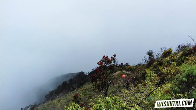 Tektok Gunung Lawu Via Cemoro Sewu