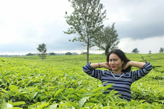 Kebun Teh Sidamanik Pematang Siantar Sumatera Utara