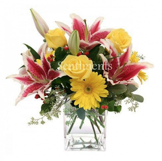 Birthday flowers for love | Sentiments Flowers
