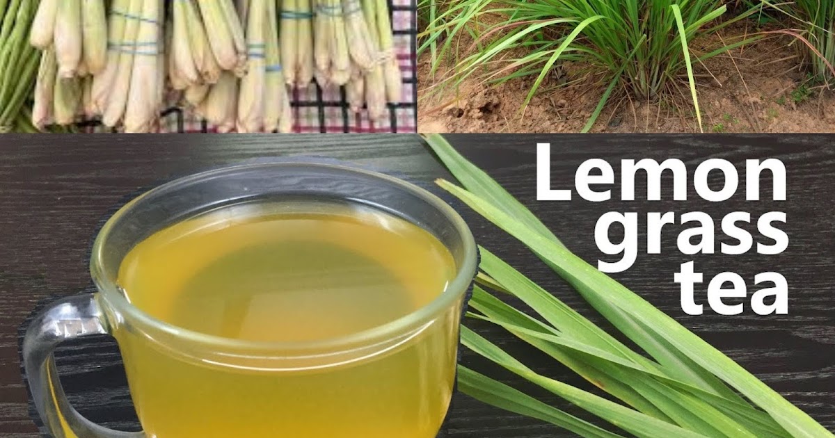 Learn About the Many Health Advantages of Lemongrass Tea and Its ...