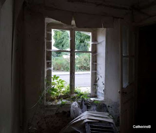 urbex-franche-comté-petite-maison-lierre-jpg