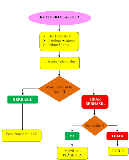 ALGORITMA PENANGANAN RETENSIO PLASENTA - warungbidan