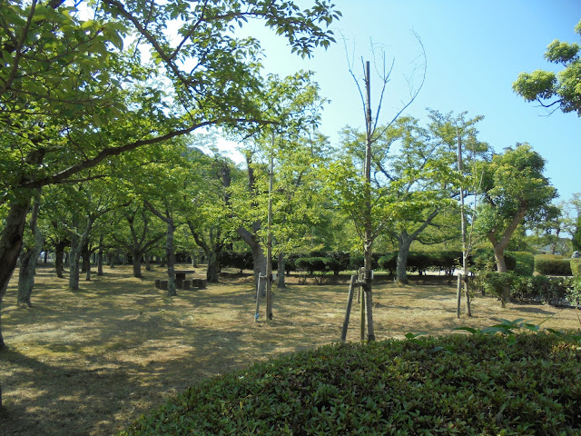 湊山公園の桜園