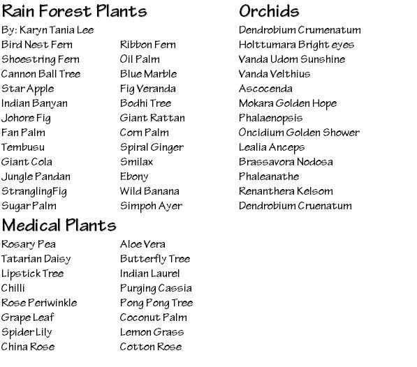 Tropical Rainforest List Of Tropical Rainforest