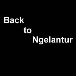 Back to Ngelantur - Citro Mduro