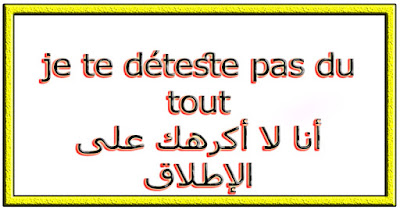 je te déteste pas du tout أنا لا أكرهك على الإطلاق